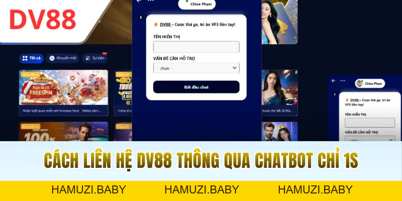 Liên Hệ DV88 Trả Lời Mọi Câu Hỏi 24/24 Không Mất Phí - HAMUZI