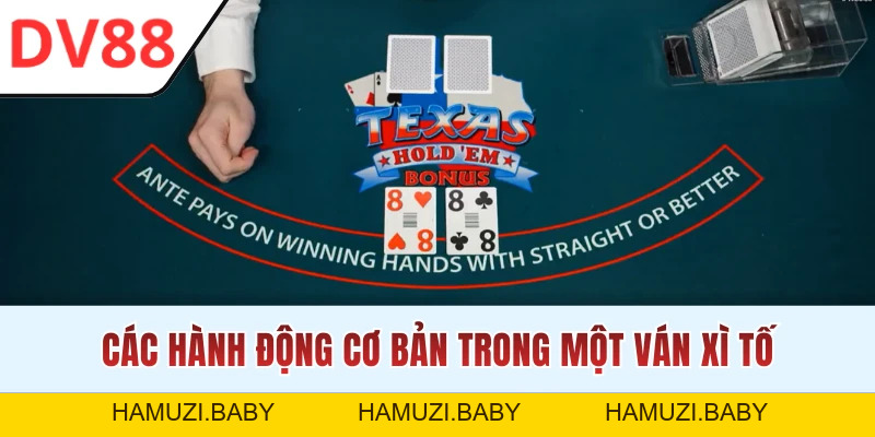 Xì Tố Online - Trải Nghiệm Game Sòng Bạc Ăn Khách Nhất DV88 - HAMUZI