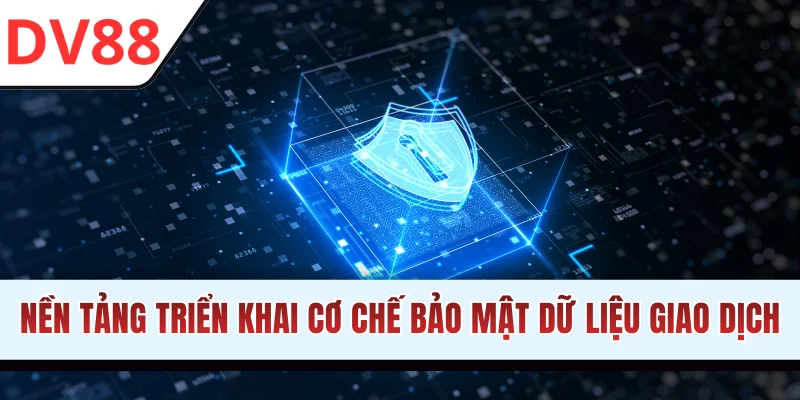 Chính Sách Giao Dịch DV88 Và Quy Định Hội Viên Cần Nắm - HAMUZI