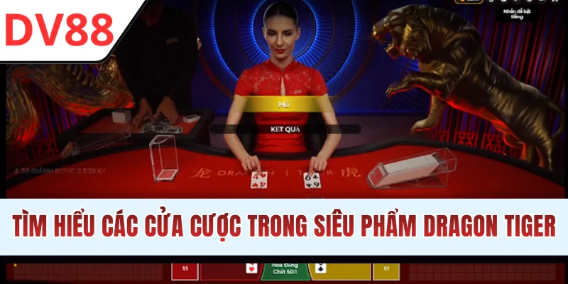 Rồng Hổ DV88 - Đặt Cược Nhanh Chóng, Săn Thưởng Đã Tay - HAMUZI